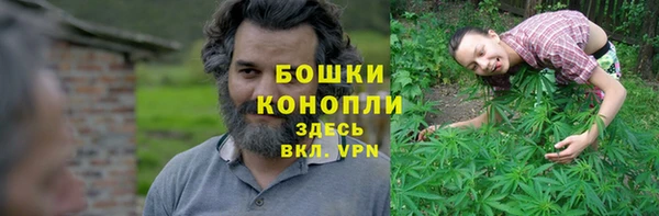 дживик Козловка