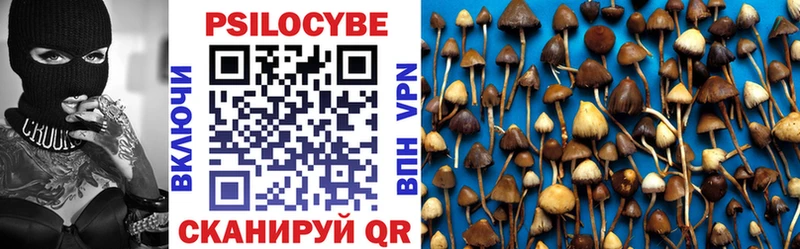 Псилоцибиновые грибы GOLDEN TEACHER Жирновск